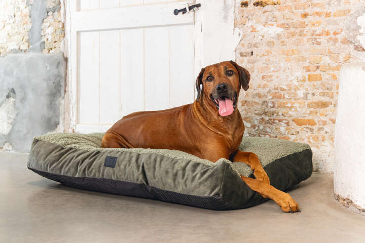 Designed by Lotte Hundekissen Yndis